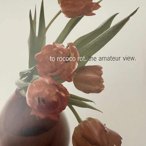 To Rococo Rot : The Amateur View (LP, Album, RM + LP, Album, Comp + CDr, Bon + Dlx, )