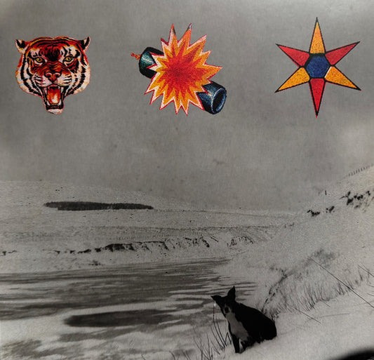 The Beta Band : The Three E.P.'s (2xLP, Comp, RE, RM, 180)