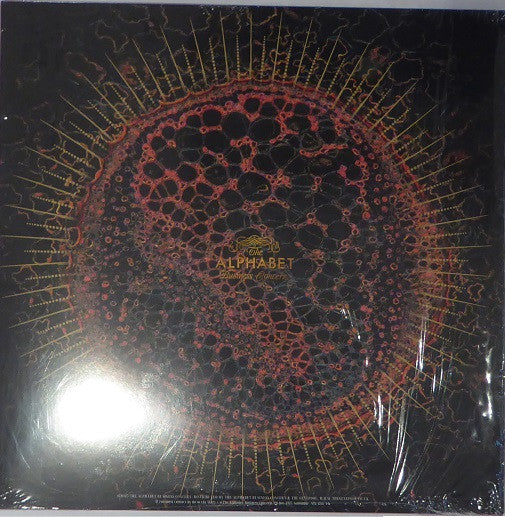 Cardiacs : LSD (2xLP, Album, Dlx)