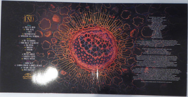 Cardiacs : LSD (2xLP, Album, Dlx)