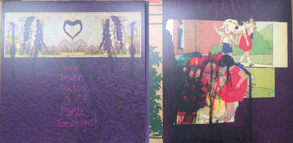Animal Collective : Feels (3xLP, Album, Ltd, M/Print, RE, Gra)