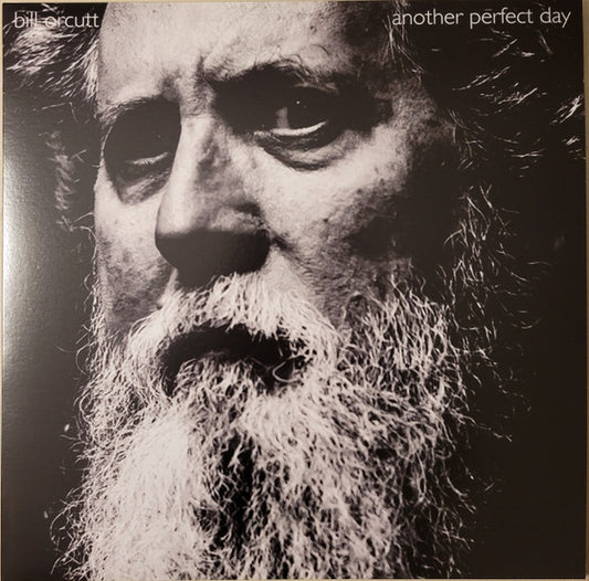 Bill Orcutt : Another Perfect Day (LP, Ltd)