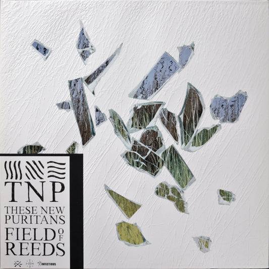 These New Puritans : Field Of Reeds (LP + LP, S/Sided, Etch + Album)