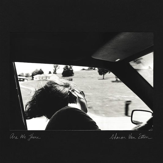Sharon Van Etten : Are We There (LP, Album)