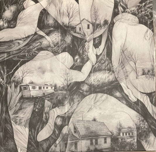 Mono (7) : Rays Of Darkness (LP, Album)