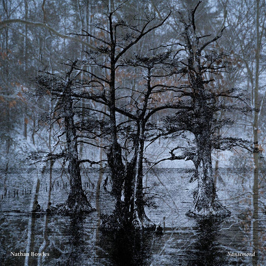 Nathan Bowles : Nansemond (LP, Album, 150)