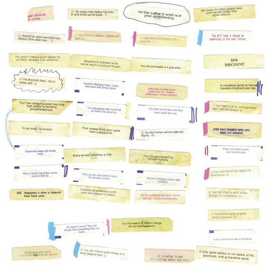 Bitchin Bajas And Bonnie "Prince" Billy : Epic Jammers And Fortunate Little Ditties (LP, Album + 12")