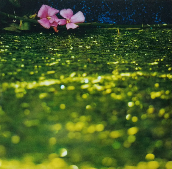 Bonnie "Prince" Billy : More Revery (LP, Comp, RE)