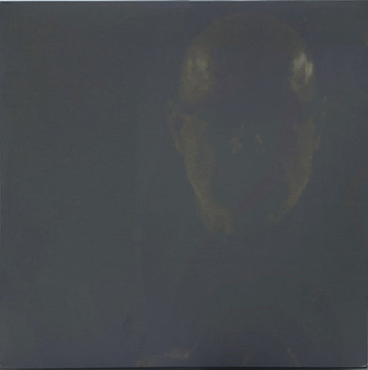 Brian Eno : Reflection (2xLP, Album)