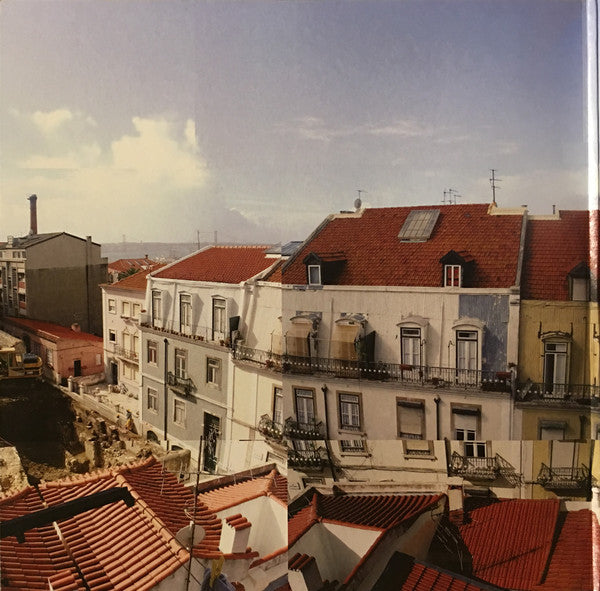 Panda Bear : Person Pitch (12", Whi + 12", Blu + Album, Club, RE, RM, Gat)