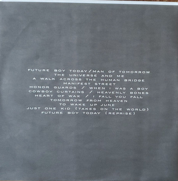 Tobin Sprout : The Universe And Me (LP, Album)