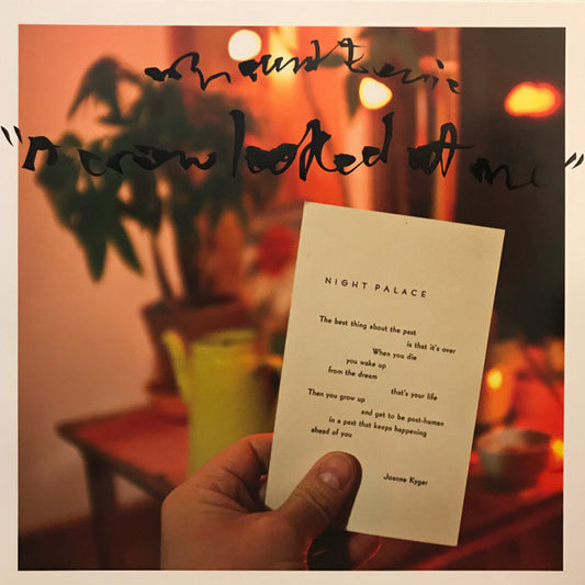 Mount Eerie : A Crow Looked At Me (LP, Album)