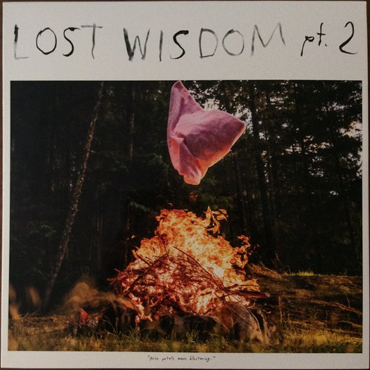 Mount Eerie With Julie Doiron : Lost Wisdom Pt. 2 (LP, Album)