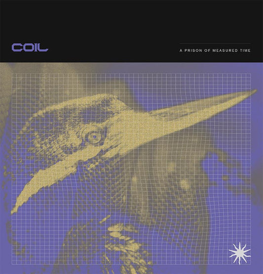 Coil : A Prison Of Measured Time (LP, EP)