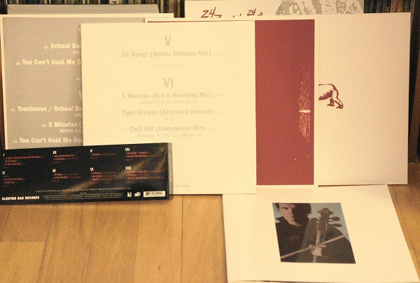 Dinosaur L : 24 → 24 Music: The Definitive Arthur Russell (Box, Ltd + 4xLP, RE, RM)